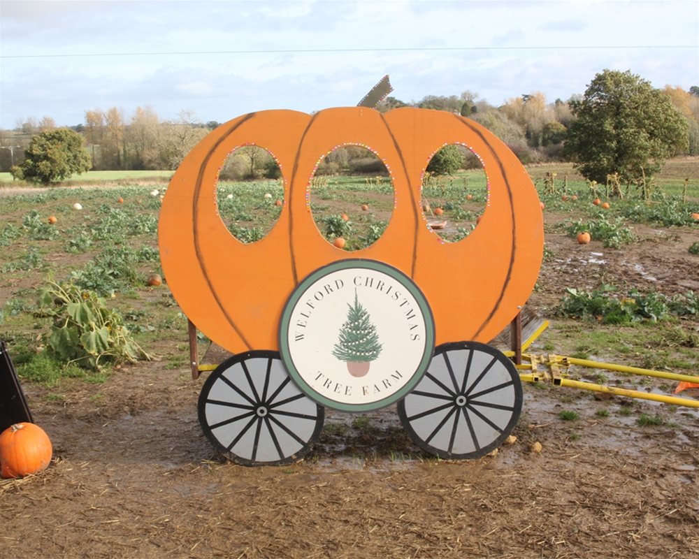 Pumpkin cardboard cut out with Welford Christmas tree Farm logo and pumpkin picking field behind.