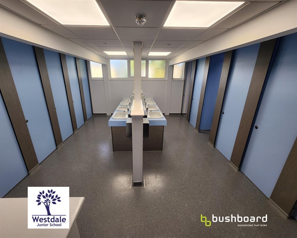 HiZone for Schools full height toilet cubicles with 'Pastel Blue' doors with 'Grey Thatch' pilasters either side of an open plan washroom with counter top vanity units in the centre.