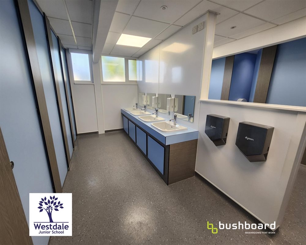 full height HiZone for schools toilet cubicle in 'Pastel Blue' and 'Grey Thatch' with matching colour counter top vanity unit. The vanity unit sits in the middle of an open plan design.