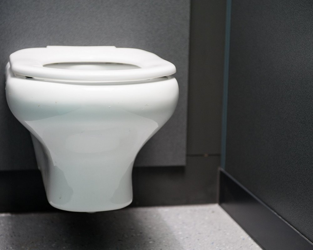 Chartham Wall Hung WC inside grey 'Welsh Slate' toilet cubicle