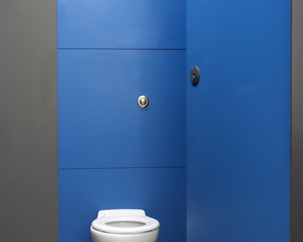 Primrose Hill Quadro toilet cubicle with door open and IPS with back to wall WC and push button flush